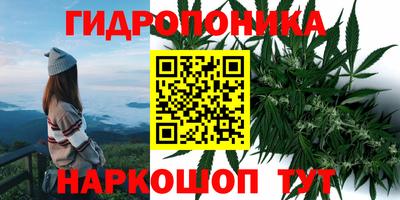 прущая мука Обнинск