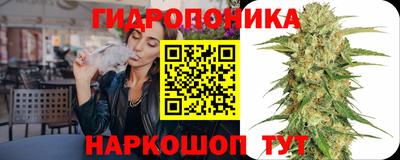 трава Партизанск