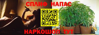 гидропоника Обь