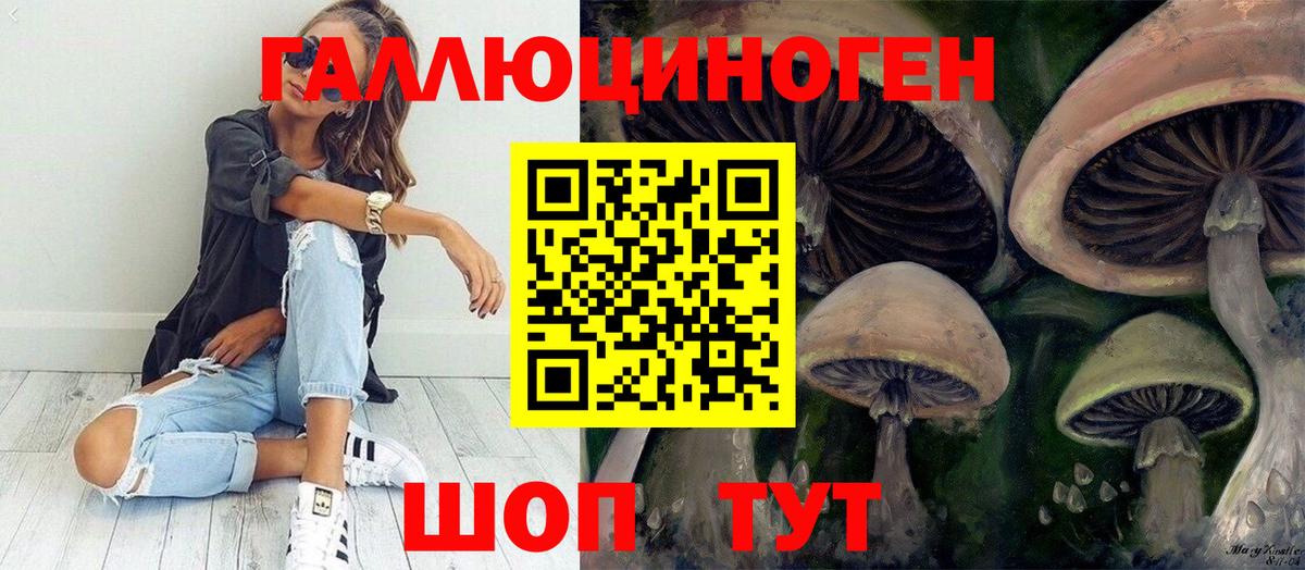 Пугачёв  Псилоцибиновые грибы MAGIC MUSHROOMS  Псилоцибиновые грибы ЛСД  Вход с VPN 